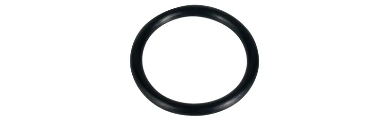 Bontrager Floor Pump Piston O-Ring T.Charger WSD In Black