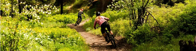 Mountain Bikes