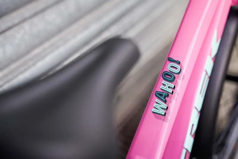 Trek Wahoo 20 Kids' Bike in Pink Frosting-7