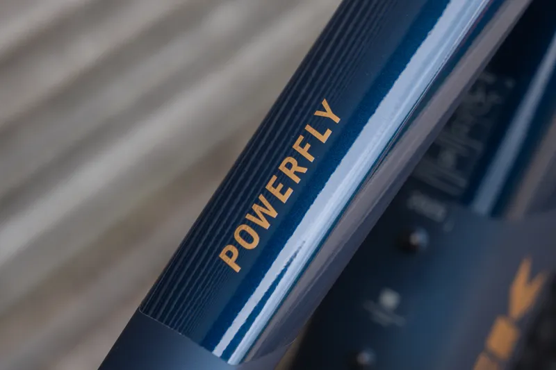 Trek Powerfly+ 6 Gen 5 29-inch E-MTB in Matte/Gloss Mulsanne Blue-5