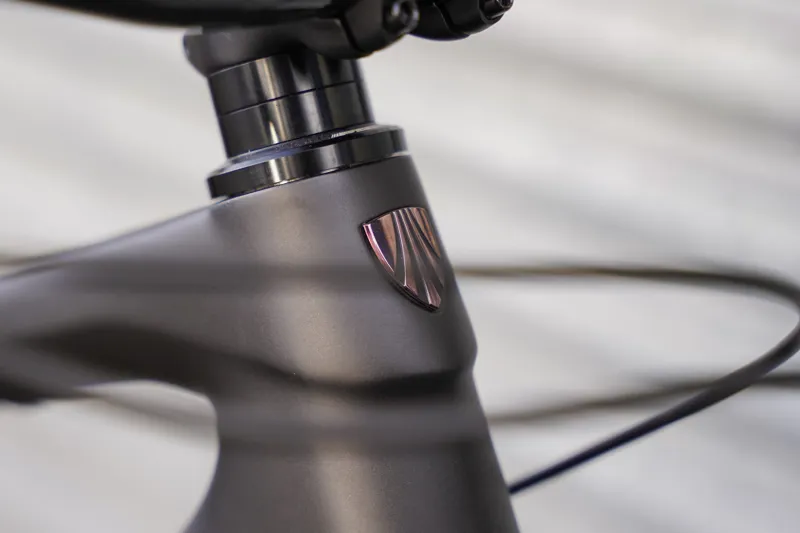 Ex-Display Trek Remedy 9.8 XL Matte Trek Black -4