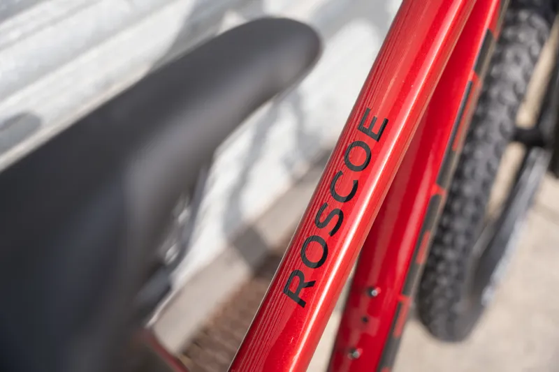 Trek Roscoe 9 Mountain Bike in Crimson Size X-Small -13