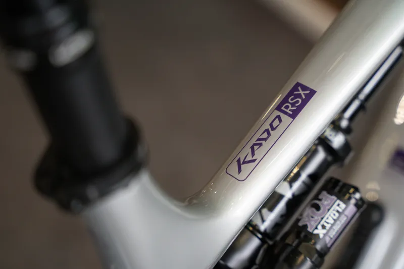 Whyte Bikes Kado RSX Electric Mountain Bike in Light Silver-12