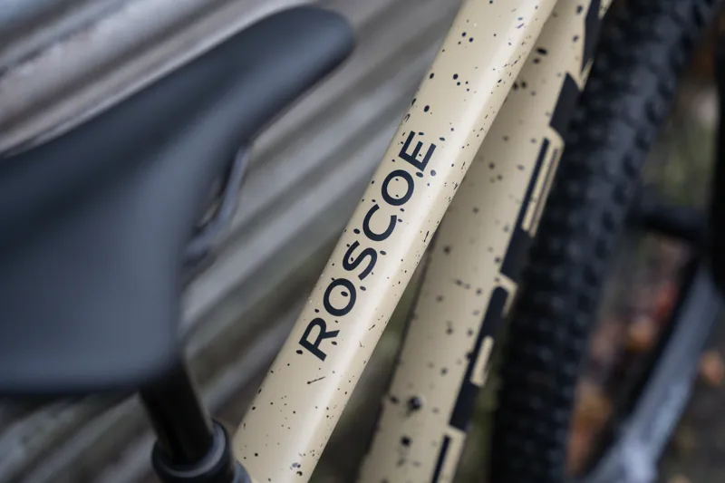 Trek Roscoe 9 Mountain Bike in Quicksand to Olive Fade/Black-2