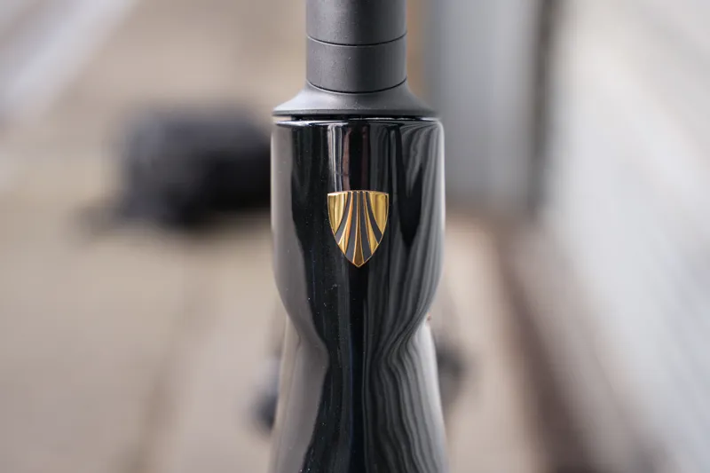 Limited Edition Trek Madone SL Gen 8 Custom Build Size Medium Dark Star-9