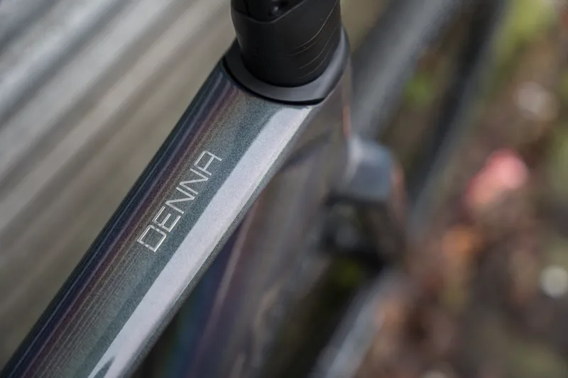 Orbea DENNA M20i Custom-6