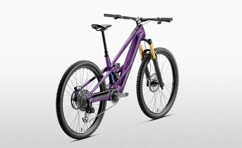 Orbea Wild Lt M10 Royal Plum-ctiluca C.View-1