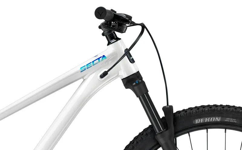 Whyte Secta R Electric white-3