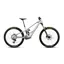 Orbea Wild LT M-Ltd RS in Smooth Silver Matt/Escape Green C.View